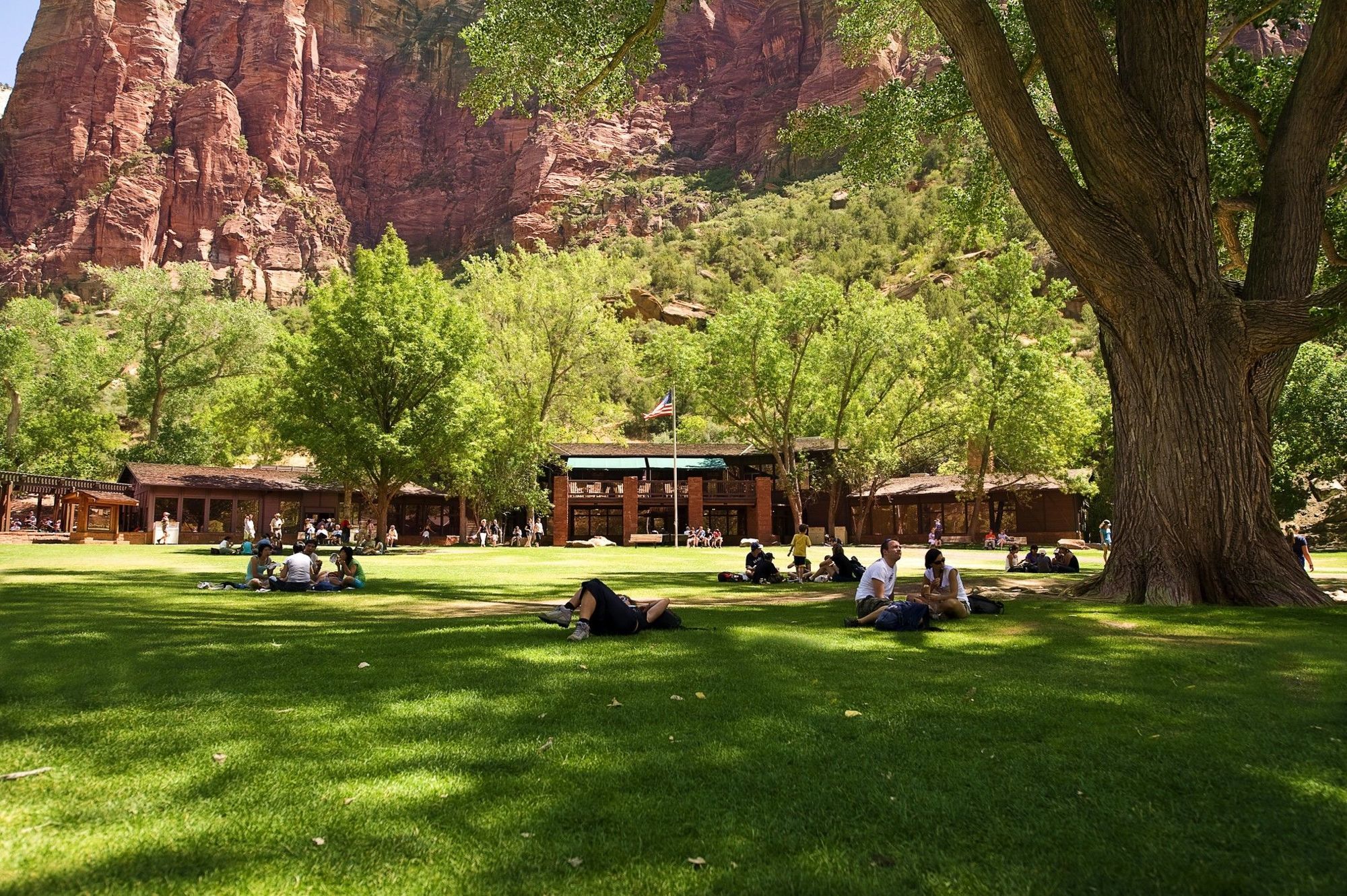 Zion Lodge 斯普林代尔 外观 照片