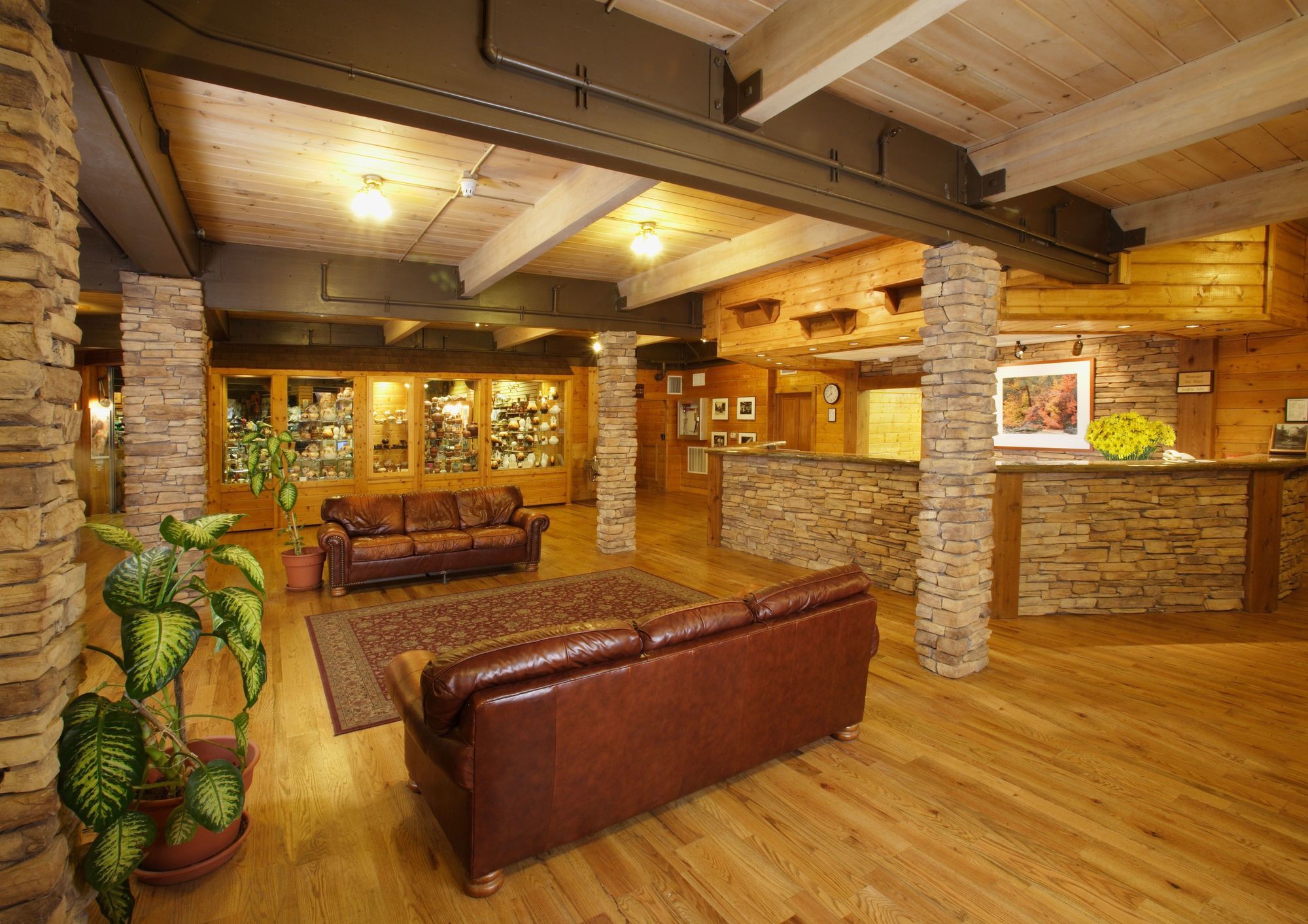 Zion Lodge 斯普林代尔 外观 照片