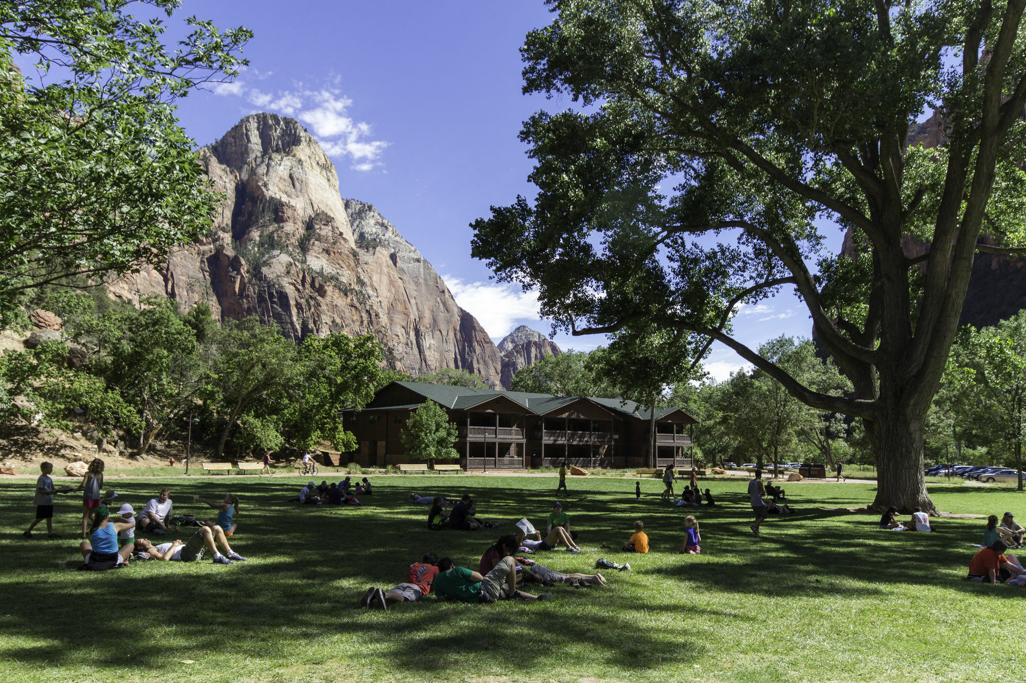 Zion Lodge 斯普林代尔 外观 照片