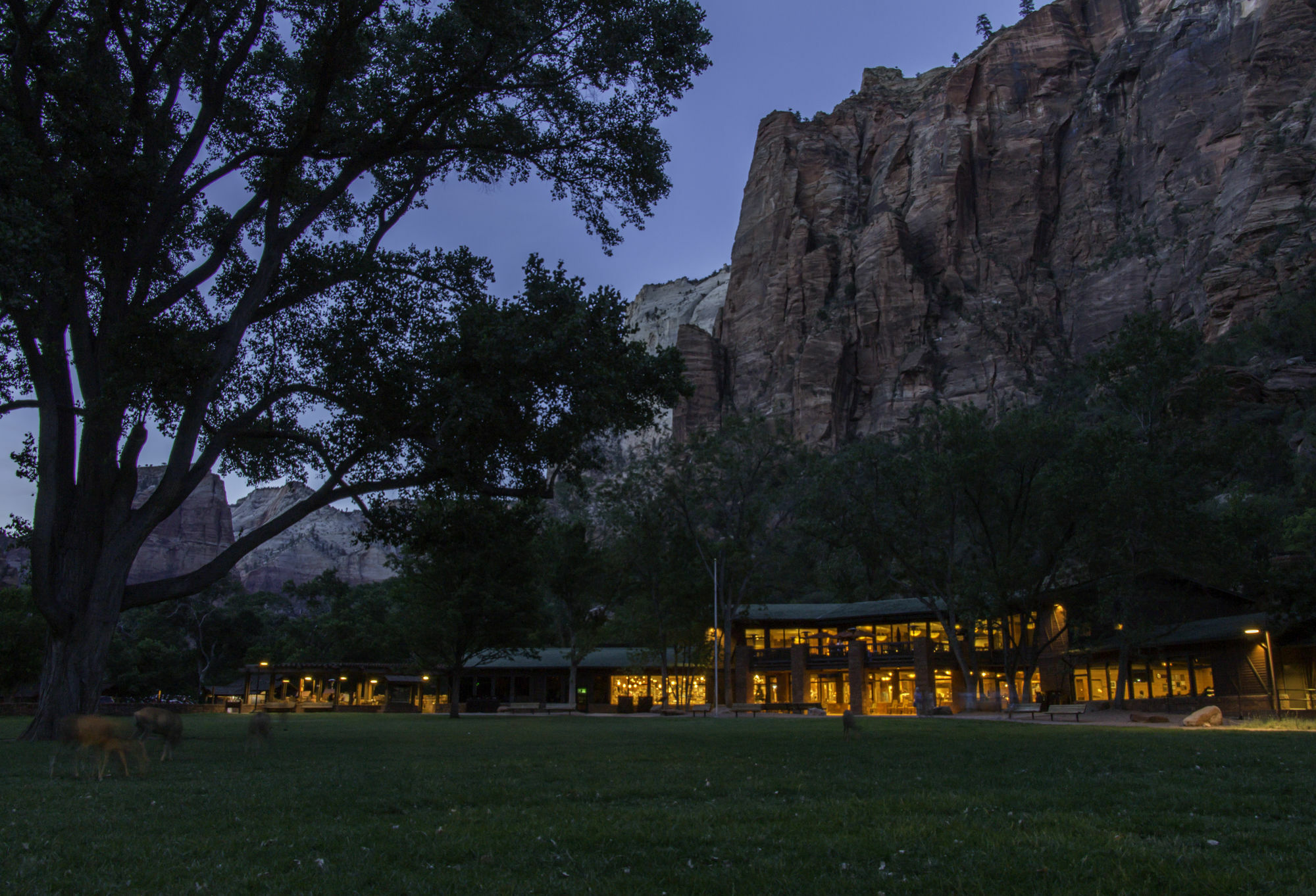 Zion Lodge 斯普林代尔 外观 照片